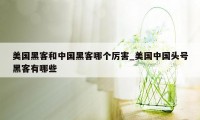 美国黑客和中国黑客哪个厉害_美国中国头号黑客有哪些