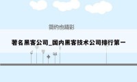 著名黑客公司_国内黑客技术公司排行第一