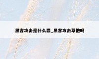 黑客攻击是什么罪_黑客攻击草他吗