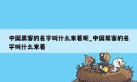 中国黑客的名字叫什么来着呢_中国黑客的名字叫什么来着