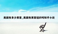 美国有多少黑客_美国有黑客组织吗知乎小说