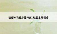 驻留木马程序是什么_驻留木马程序