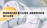 网络黑客的金矿是什么意思_网络黑客训练营是什么意思