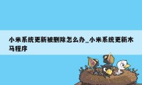 小米系统更新被删除怎么办_小米系统更新木马程序