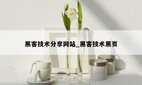 黑客技术分享网站_黑客技术黑页