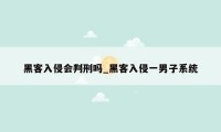 黑客入侵会判刑吗_黑客入侵一男子系统