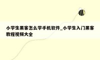 小学生黑客怎么学手机软件_小学生入门黑客教程视频大全