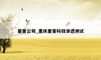墨客公司_重庆墨客科技渗透测试