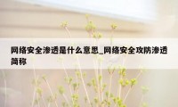 网络安全渗透是什么意思_网络安全攻防渗透简称