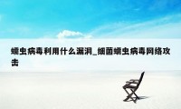 蠕虫病毒利用什么漏洞_细菌蠕虫病毒网络攻击