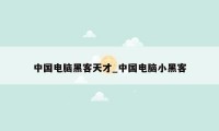 中国电脑黑客天才_中国电脑小黑客