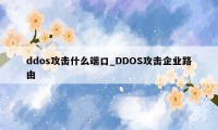 ddos攻击什么端口_DDOS攻击企业路由