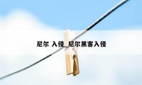 尼尔 入侵_尼尔黑客入侵