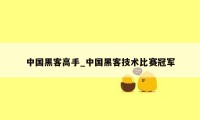 中国黑客高手_中国黑客技术比赛冠军