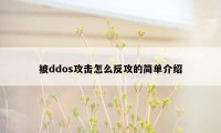 被ddos攻击怎么反攻的简单介绍