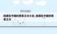 隐藏在中国的黑客之父小说_隐藏在中国的黑客之父