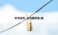 木马文件_木马程序在c盘