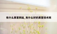 有什么黑客网站_有什么好的黑客技术网