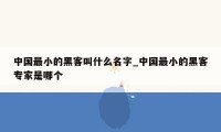 中国最小的黑客叫什么名字_中国最小的黑客专家是哪个