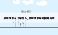 黑客技术入门学什么_黑客技术学习图片高级