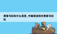 黑客马拉松什么意思_中国清洁技术黑客马拉松