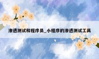 渗透测试和程序员_小程序的渗透测试工具