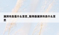 漏洞攻击是什么意思_服务器漏洞攻击什么意思