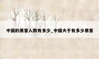 中国的黑客人数有多少_中国大于有多少黑客