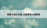 黑客入侵什么罪_大型黑客入侵现场