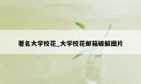 著名大学校花_大学校花邮箱破解图片