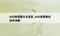 kali渗透是什么意思_kali渗透测试技术详解