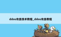 ddos攻击技术教程_ddos攻击教程