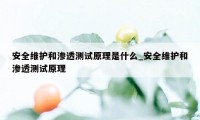 安全维护和渗透测试原理是什么_安全维护和渗透测试原理