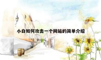 小白如何攻击一个网站的简单介绍