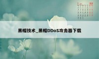 黑帽技术_黑帽DDoS攻击器下载