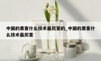 中国的黑客什么技术最厉害的_中国的黑客什么技术最厉害