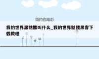 我的世界黑骷髅叫什么_我的世界骷髅黑客下载教程