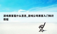 游戏黑客是什么意思_游戏公司黑客入门知识教程