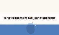 端口扫描电镜图片怎么看_端口扫描电镜图片