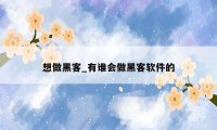 想做黑客_有谁会做黑客软件的