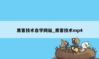 黑客技术自学网站_黑客技术mp4