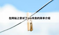 在网站上尝试了xss攻击的简单介绍