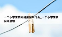 一个小学生的网络黑客叫什么_一个小学生的网络黑客